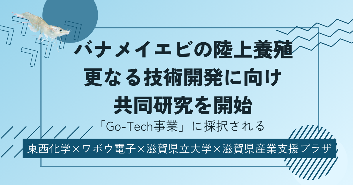 バナメイエビの陸上養殖　更なる技術開発に向け共同研究を開始